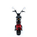 Wholesale Removable Battery Mobility Electric Bicycle